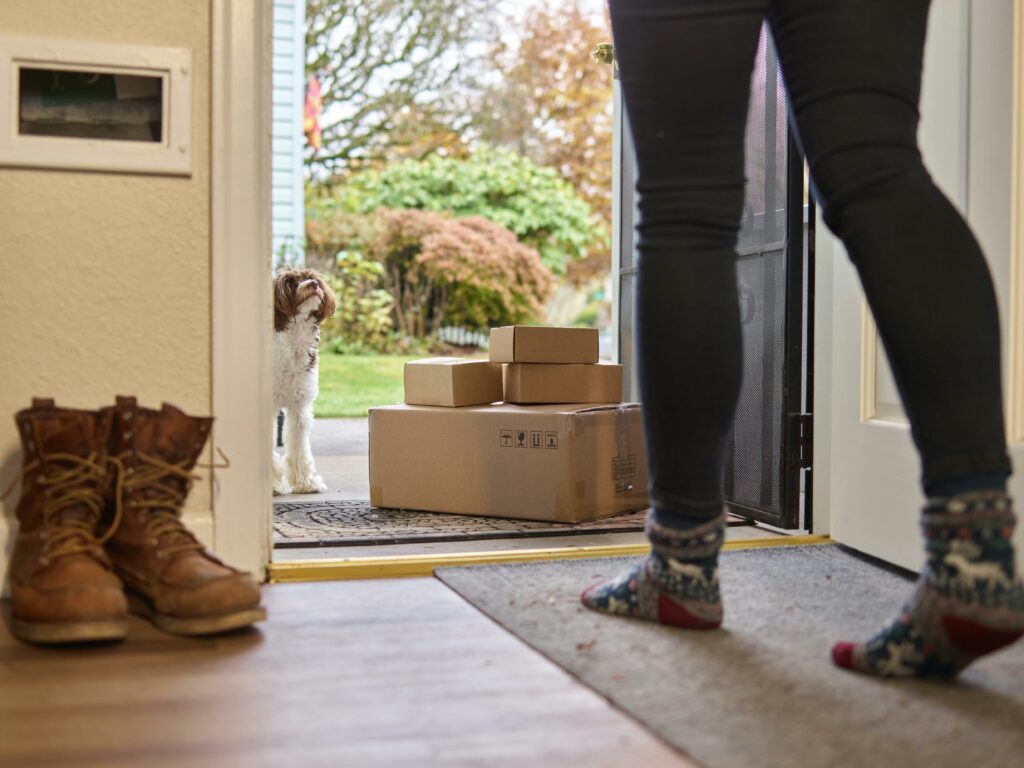 Ein Hund wartet zusammen mit einigen Kartons vor einer geöffneten Tür auf seine Besitzerin für einen Umzug Meissen.